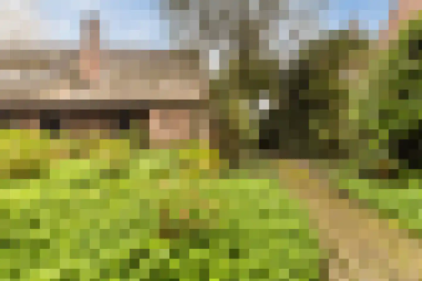 Leijsenstraat 23 Oosterhout thumbnail 65