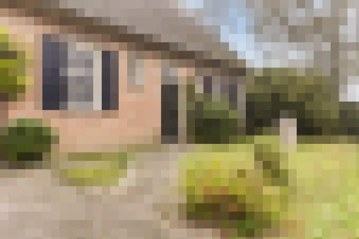 Leijsenstraat 23 Oosterhout thumbnail 70