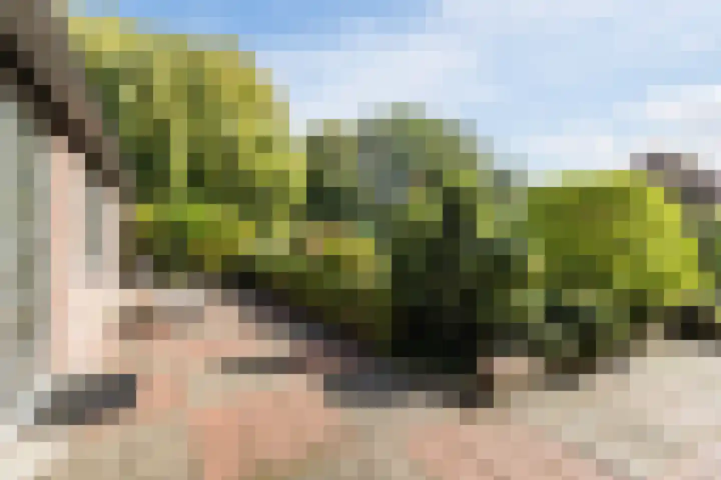 Leijsenstraat 32 A Oosterhout thumbnail 37