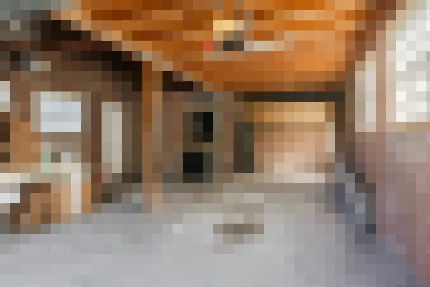 Leijsenstraat 32 A Oosterhout thumbnail 40