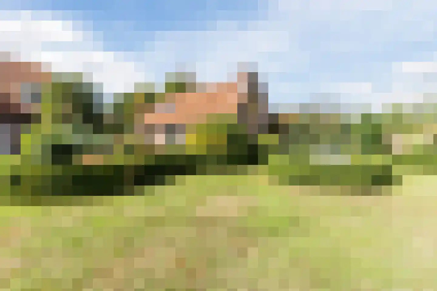 Leijsenstraat 32 A Oosterhout thumbnail 44