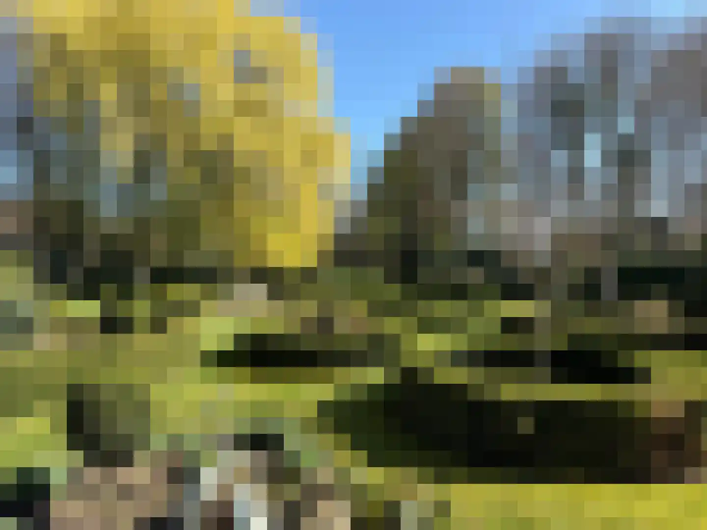 Leijsenstraat 32 A Oosterhout thumbnail 5