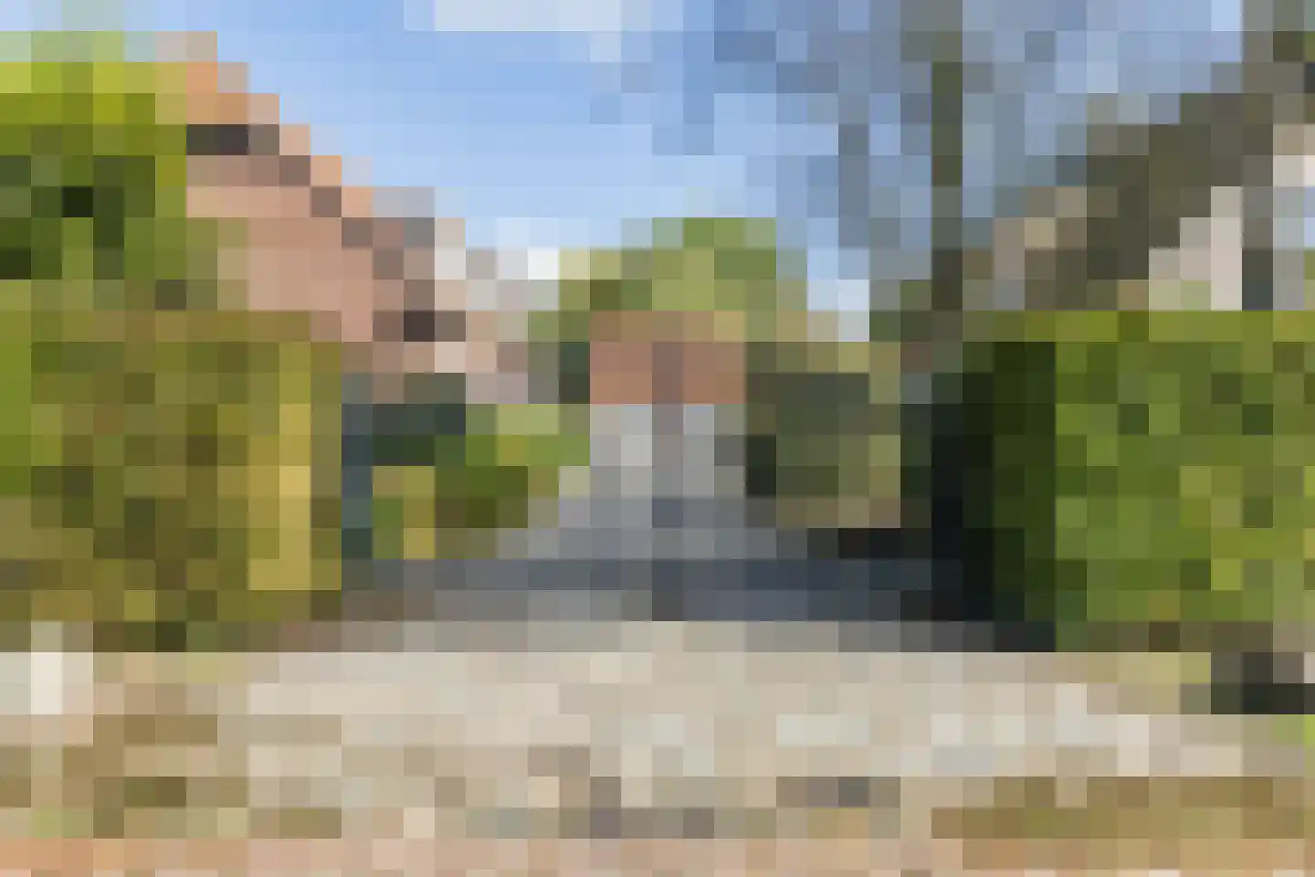 Leijsenstraat 32 A Oosterhout thumbnail 52
