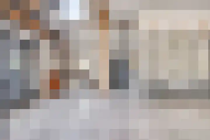Leijsenstraat 33 Oosterhout thumbnail 17