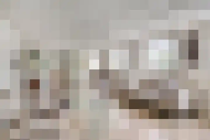 Leijsenstraat 33 Oosterhout thumbnail 33