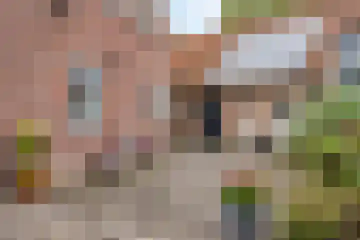 Leijsenstraat 33 Oosterhout thumbnail 67