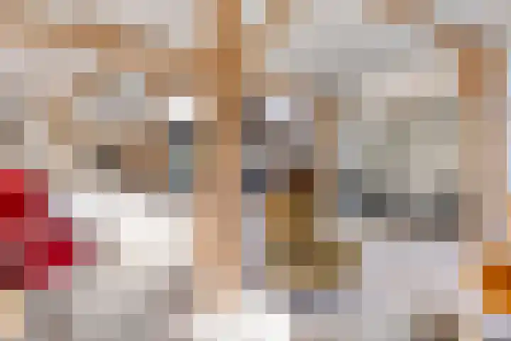 Leijsenstraat 33 Oosterhout thumbnail 8