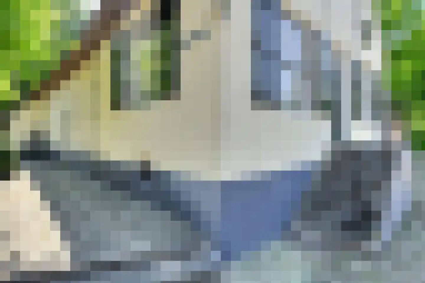 Leijsenstraat 51 Oosterhout thumbnail 11