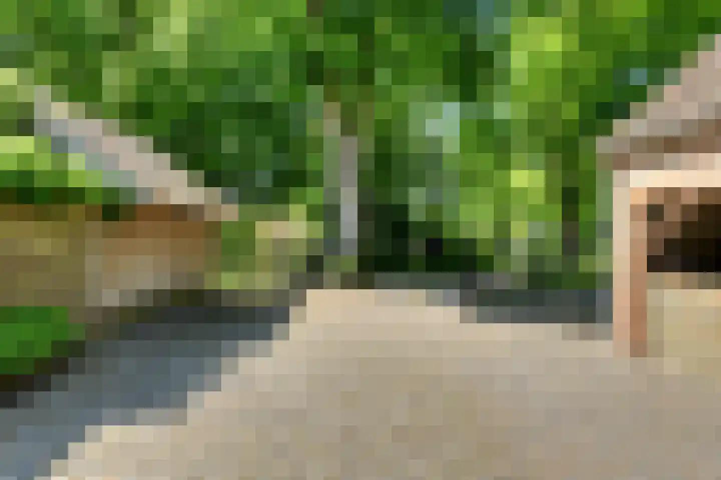 Leijsenstraat 51 Oosterhout thumbnail 17