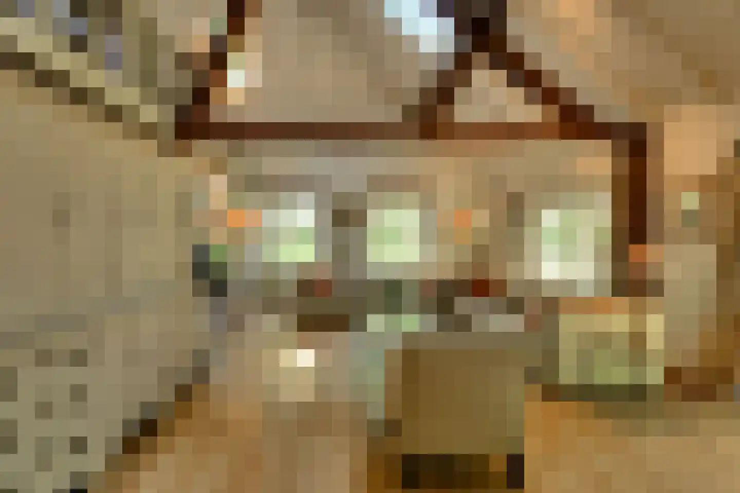 Leijsenstraat 51 Oosterhout thumbnail 21