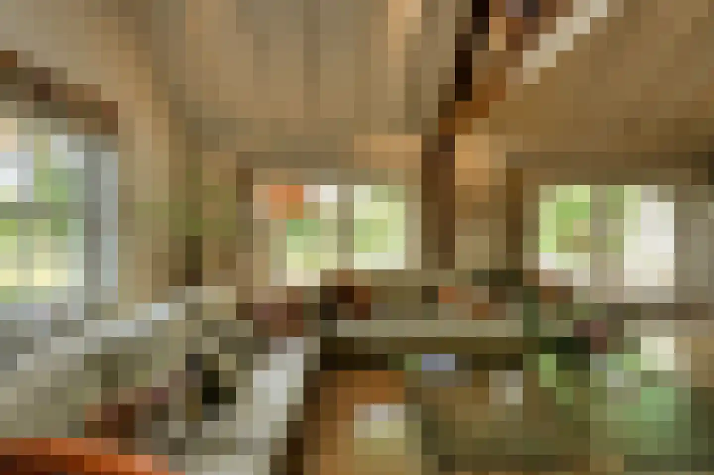 Leijsenstraat 51 Oosterhout thumbnail 23