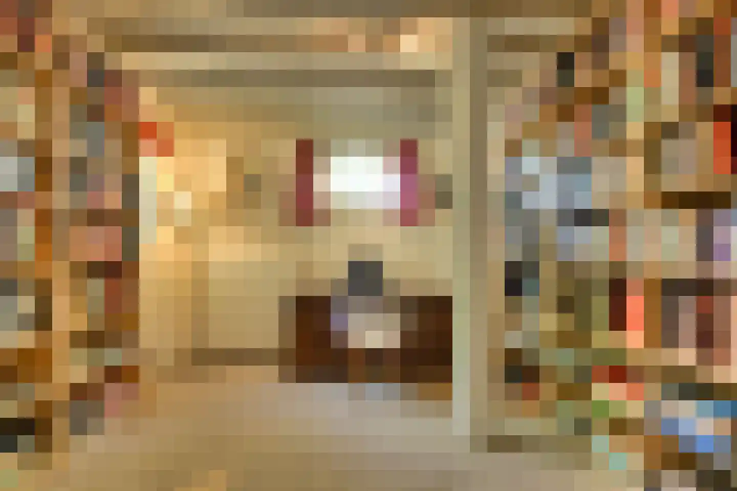 Leijsenstraat 51 Oosterhout thumbnail 41
