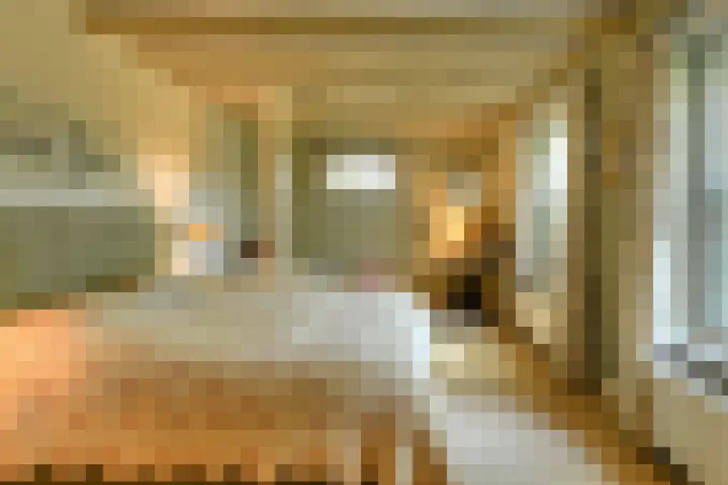 Leijsenstraat 51 Oosterhout thumbnail 43