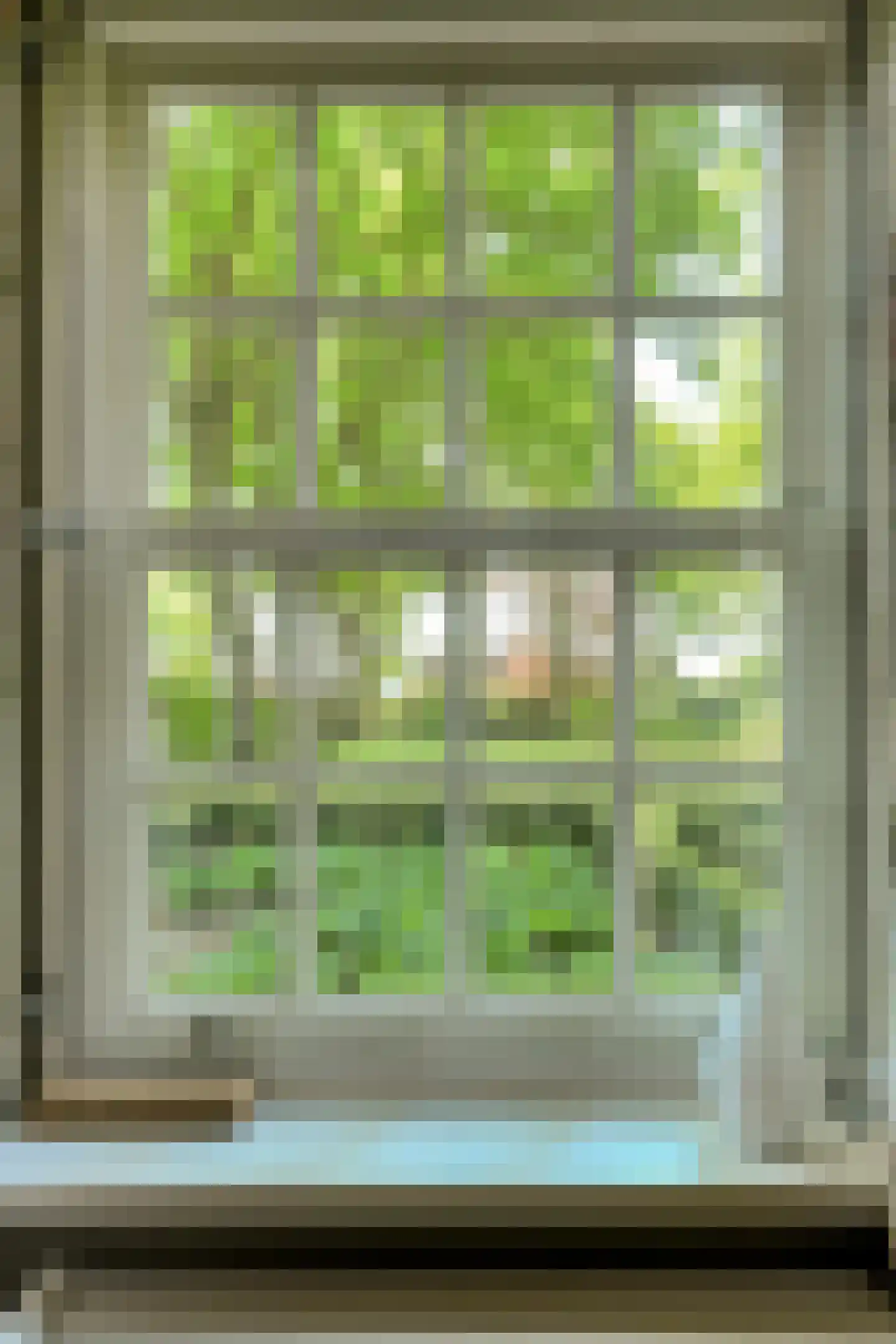 Leijsenstraat 51 Oosterhout thumbnail 44