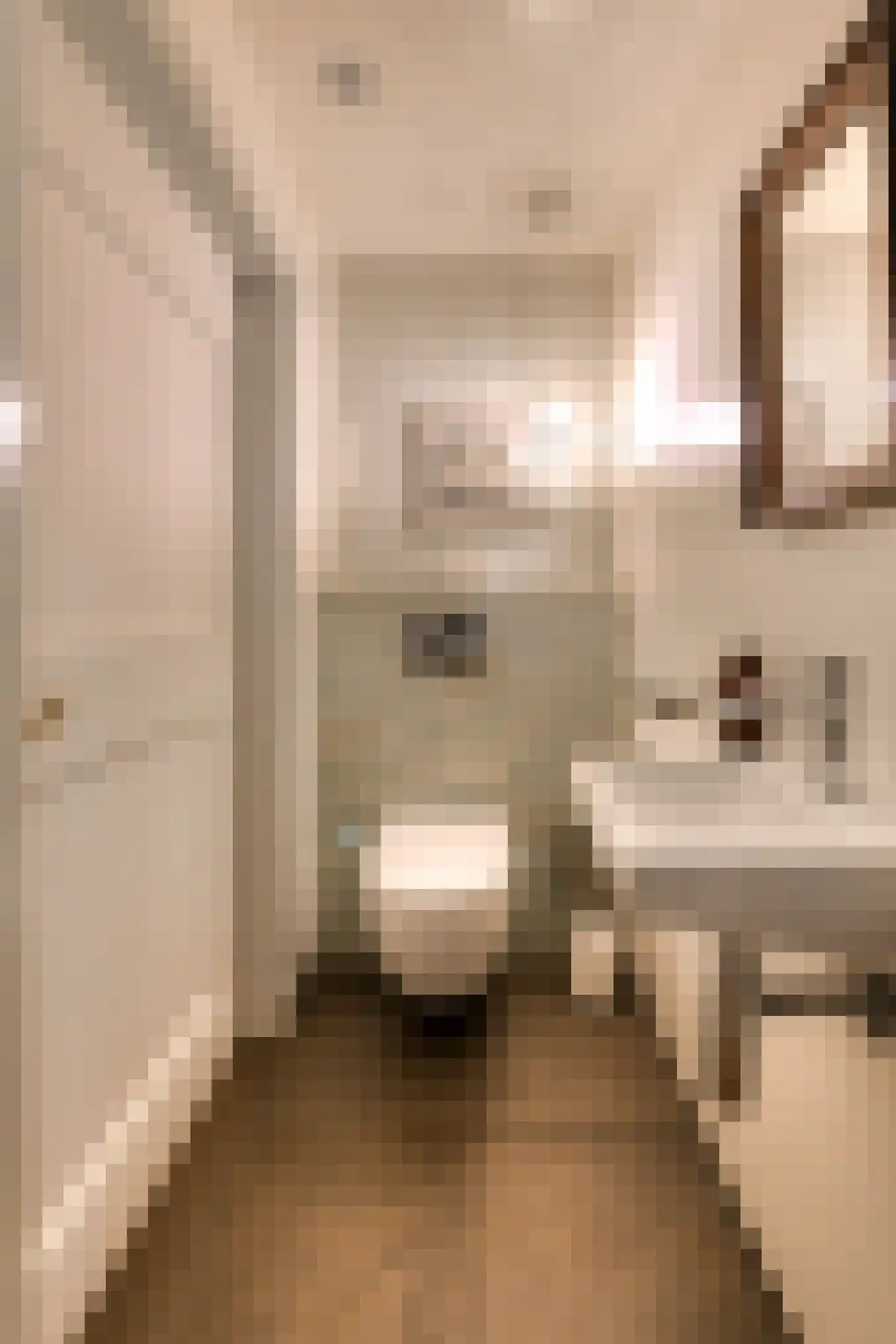 Leijsenstraat 51 Oosterhout thumbnail 47