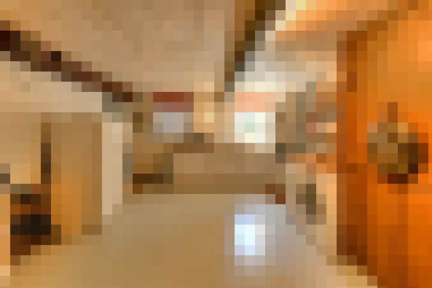 Leijsenstraat 51 Oosterhout thumbnail 48