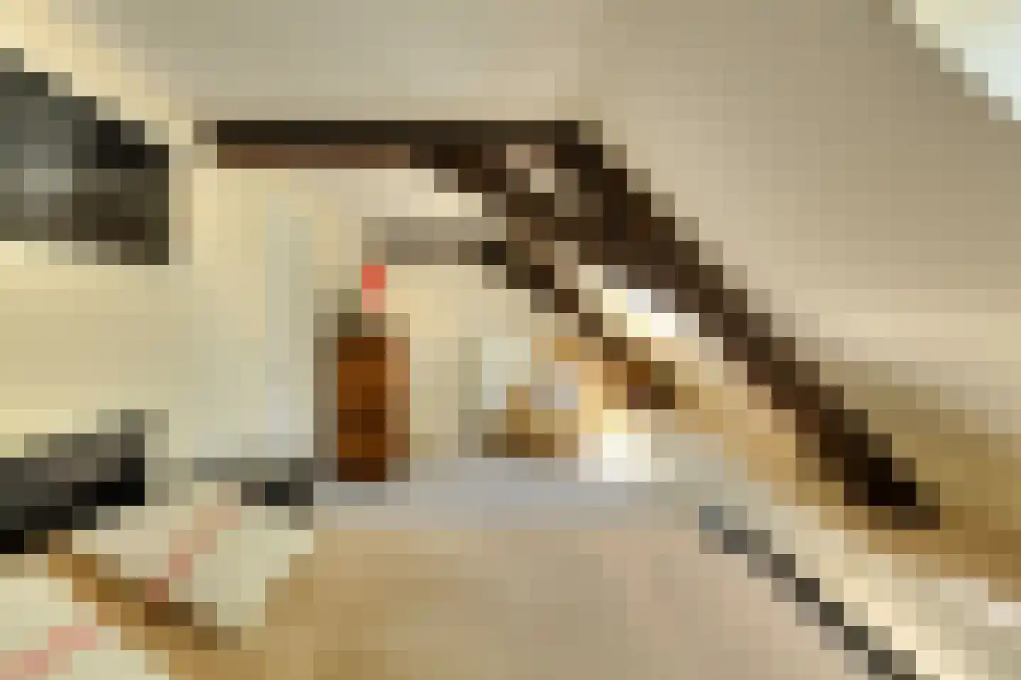 Leijsenstraat 51 Oosterhout thumbnail 56
