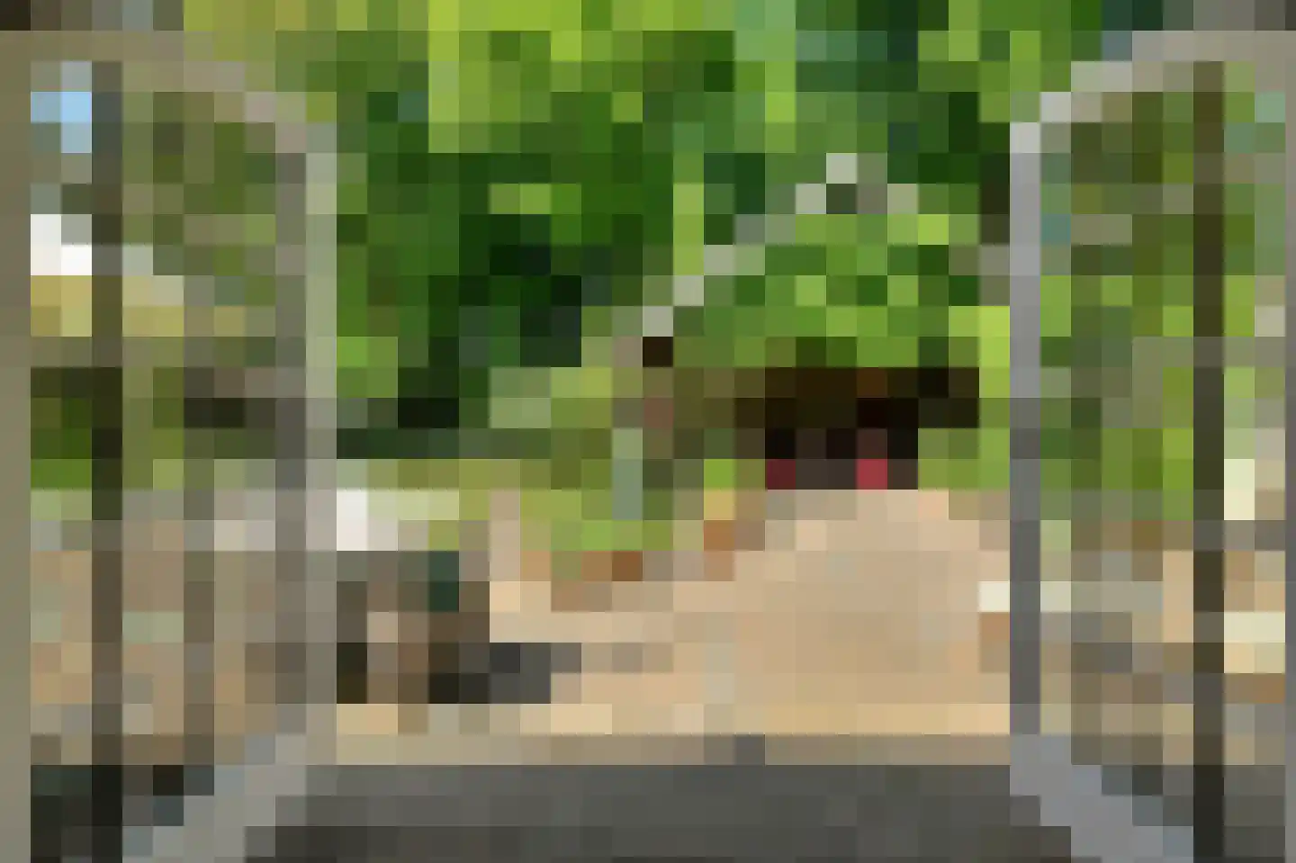 Leijsenstraat 51 Oosterhout thumbnail 64