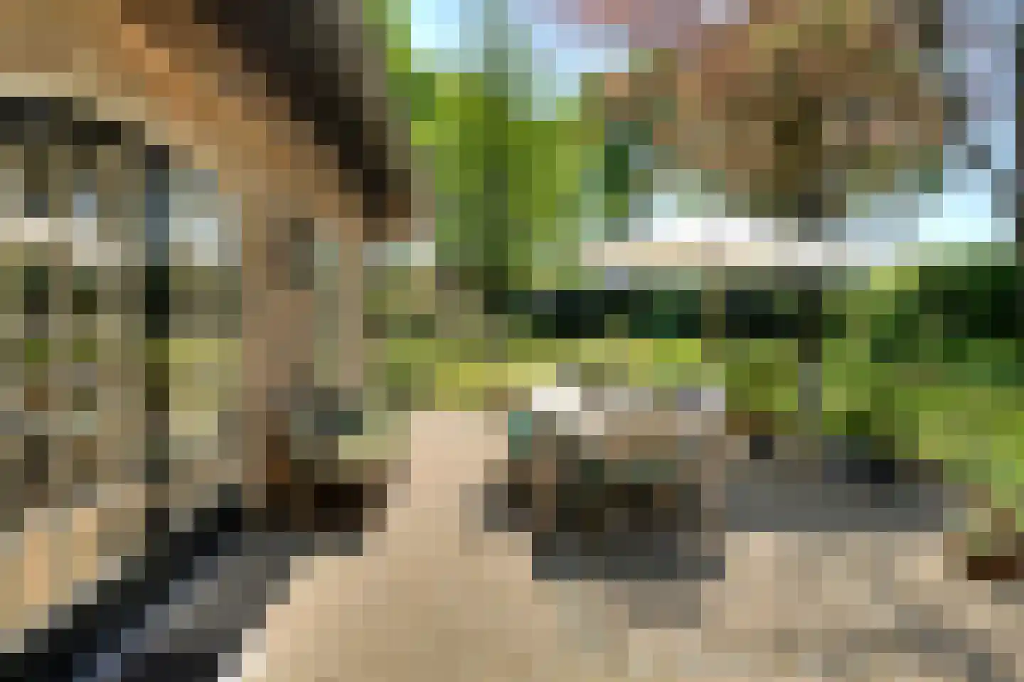 Leijsenstraat 51 Oosterhout thumbnail 66