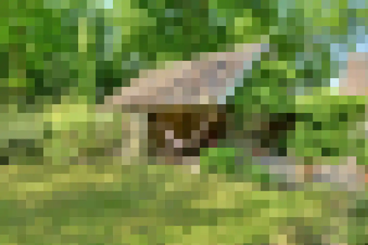 Leijsenstraat 51 Oosterhout thumbnail 68