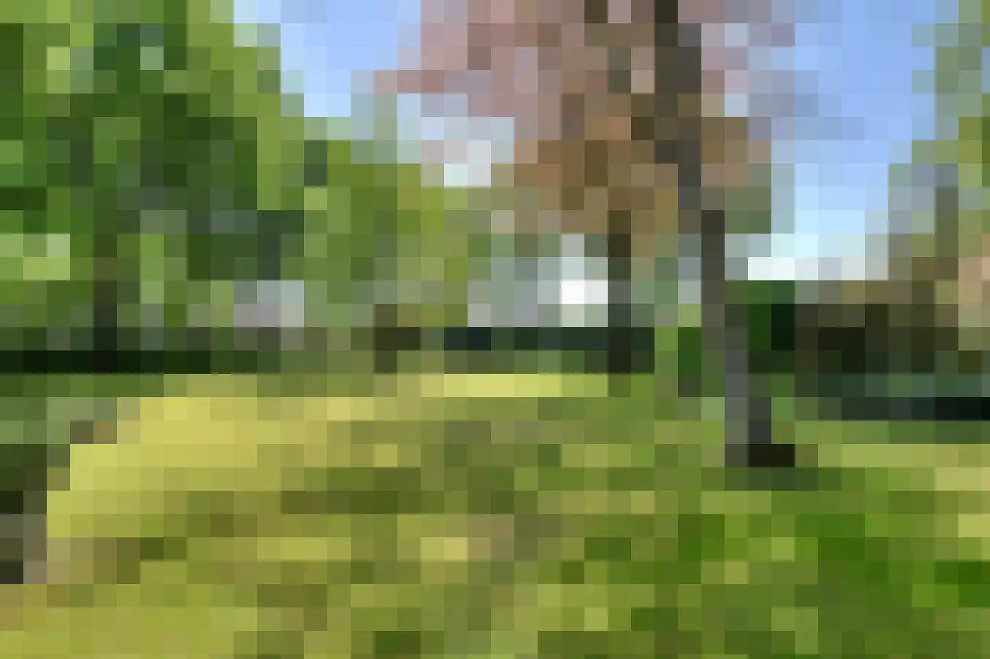 Leijsenstraat 51 Oosterhout thumbnail 69