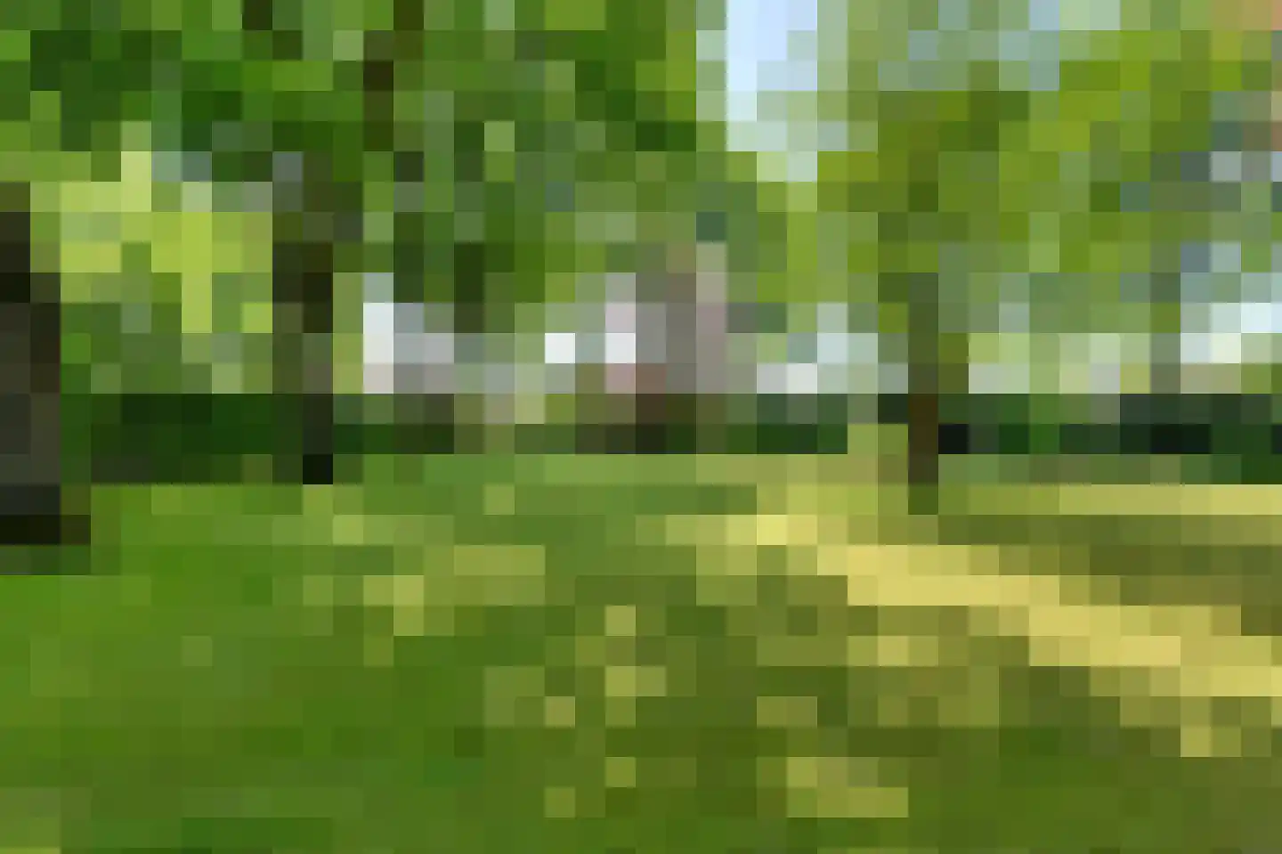 Leijsenstraat 51 Oosterhout thumbnail 70
