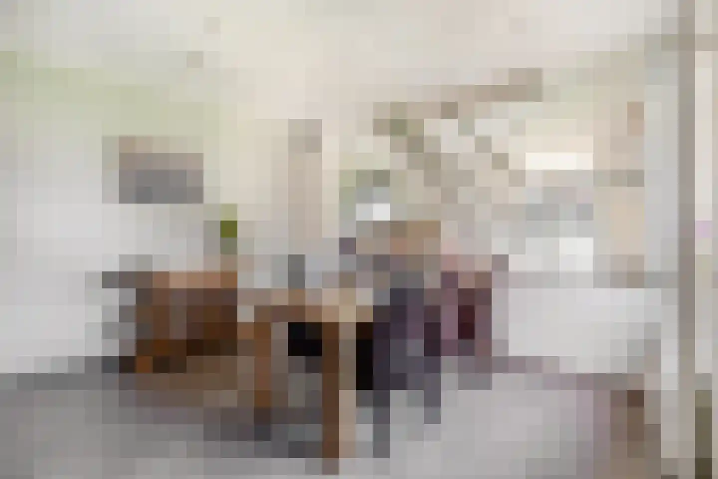 Leijsingweg 13 Liessel thumbnail 17