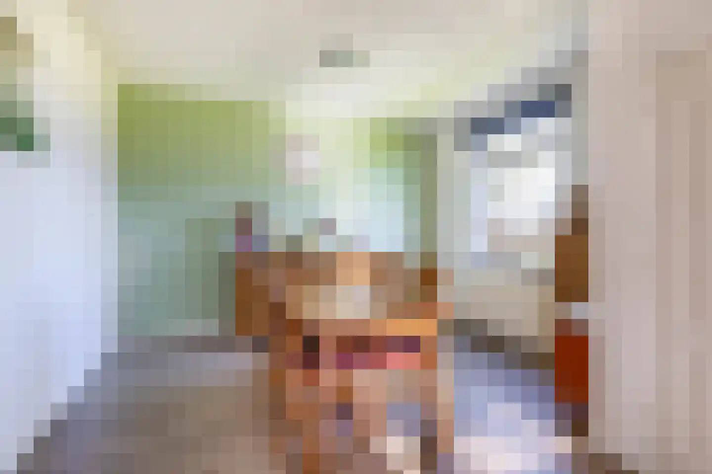 Leijsingweg 13 Liessel thumbnail 20