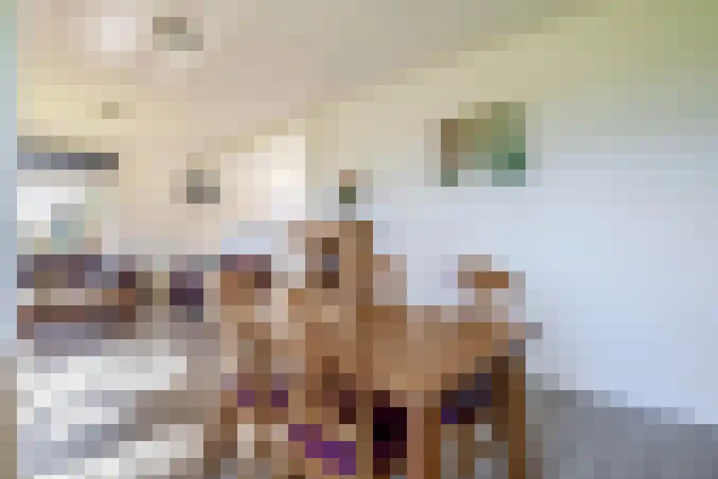 Leijsingweg 13 Liessel thumbnail 22