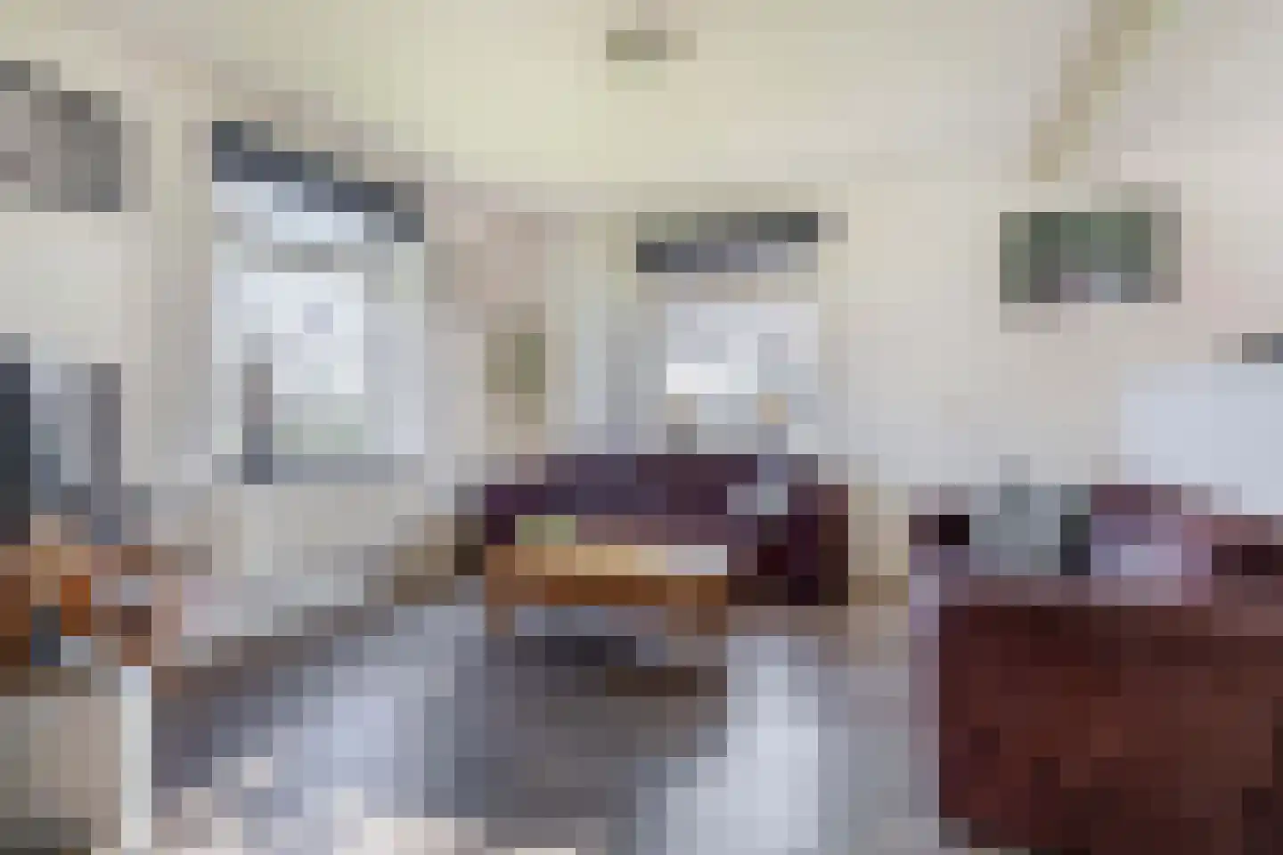 Leijsingweg 13 Liessel thumbnail 23