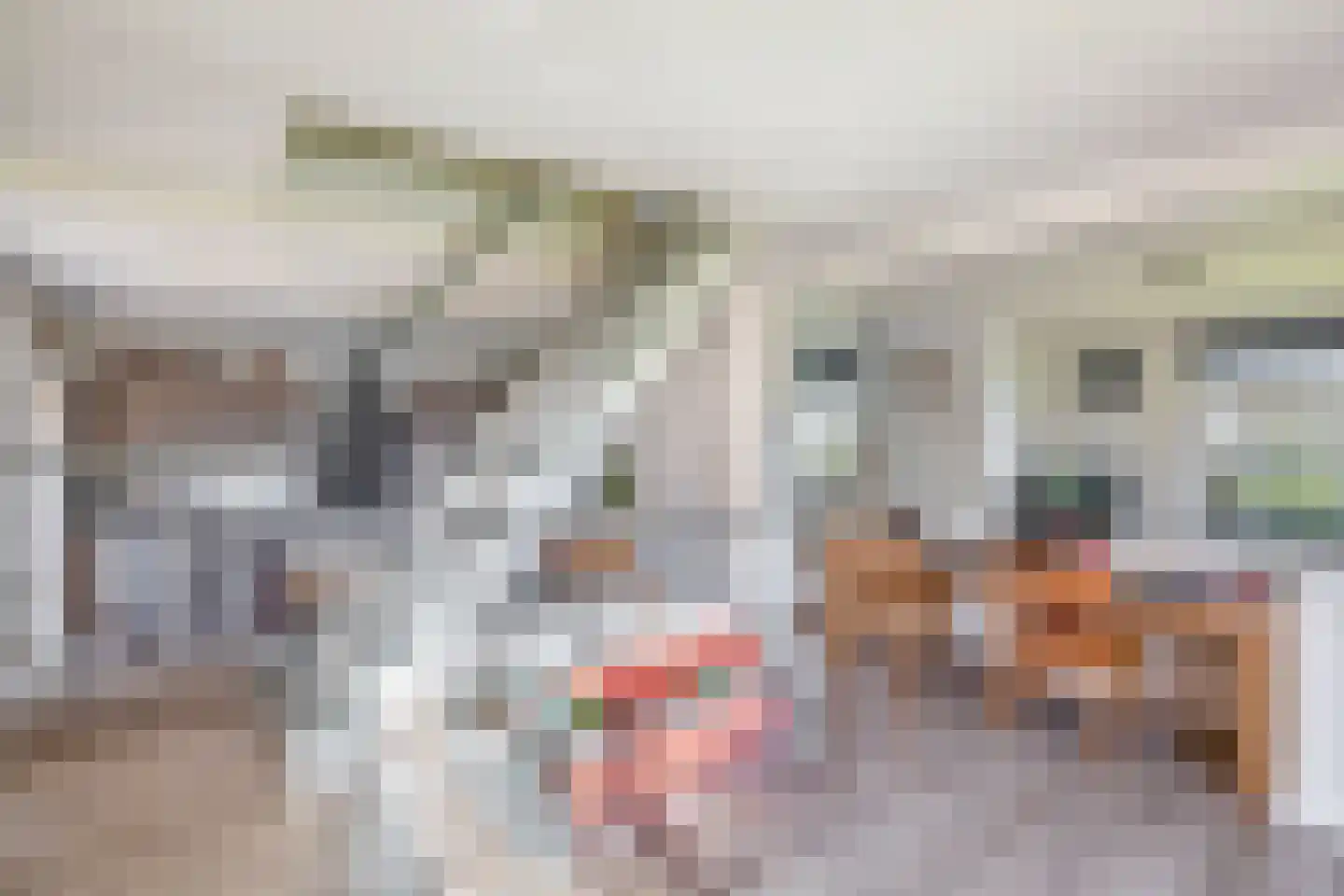 Leijsingweg 13 Liessel thumbnail 26