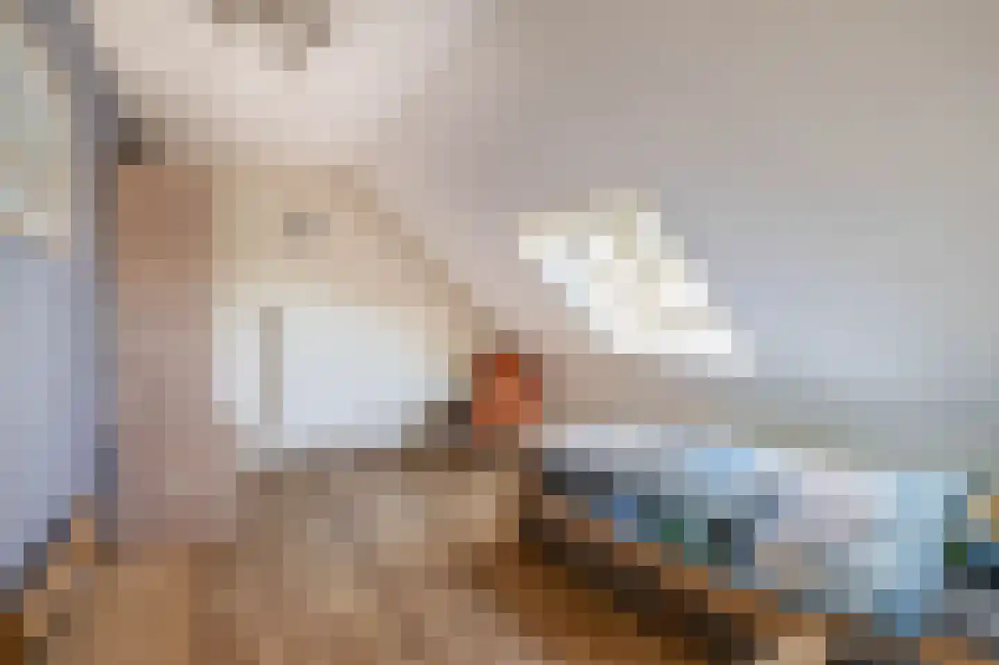 Leijsingweg 13 Liessel thumbnail 35