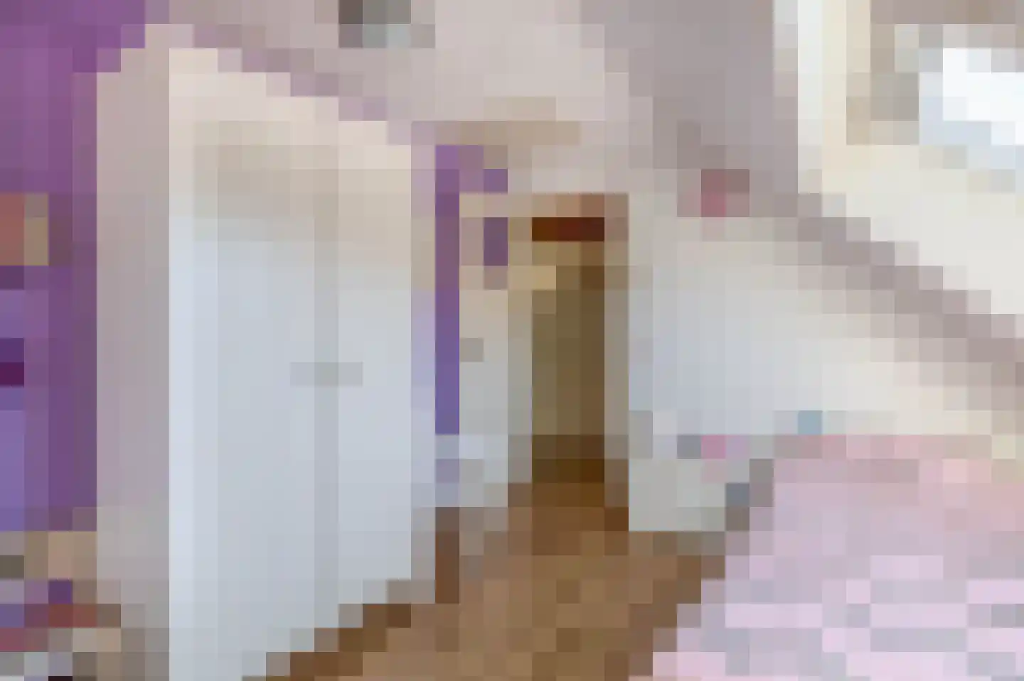 Leijsingweg 13 Liessel thumbnail 36