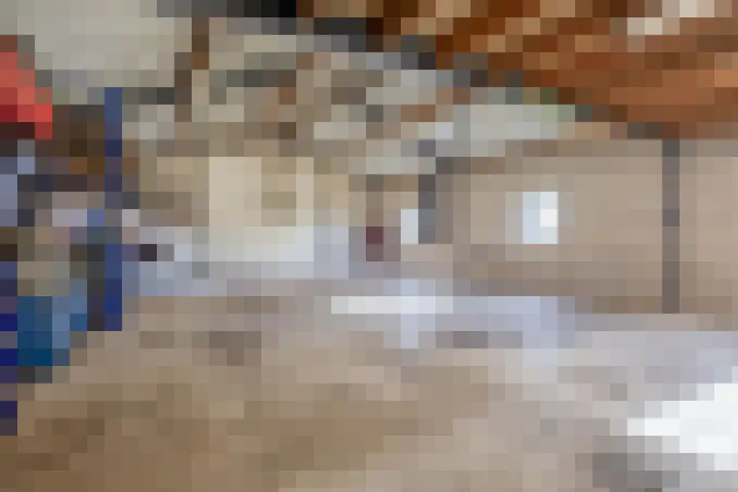 Leijsingweg 13 Liessel thumbnail 46