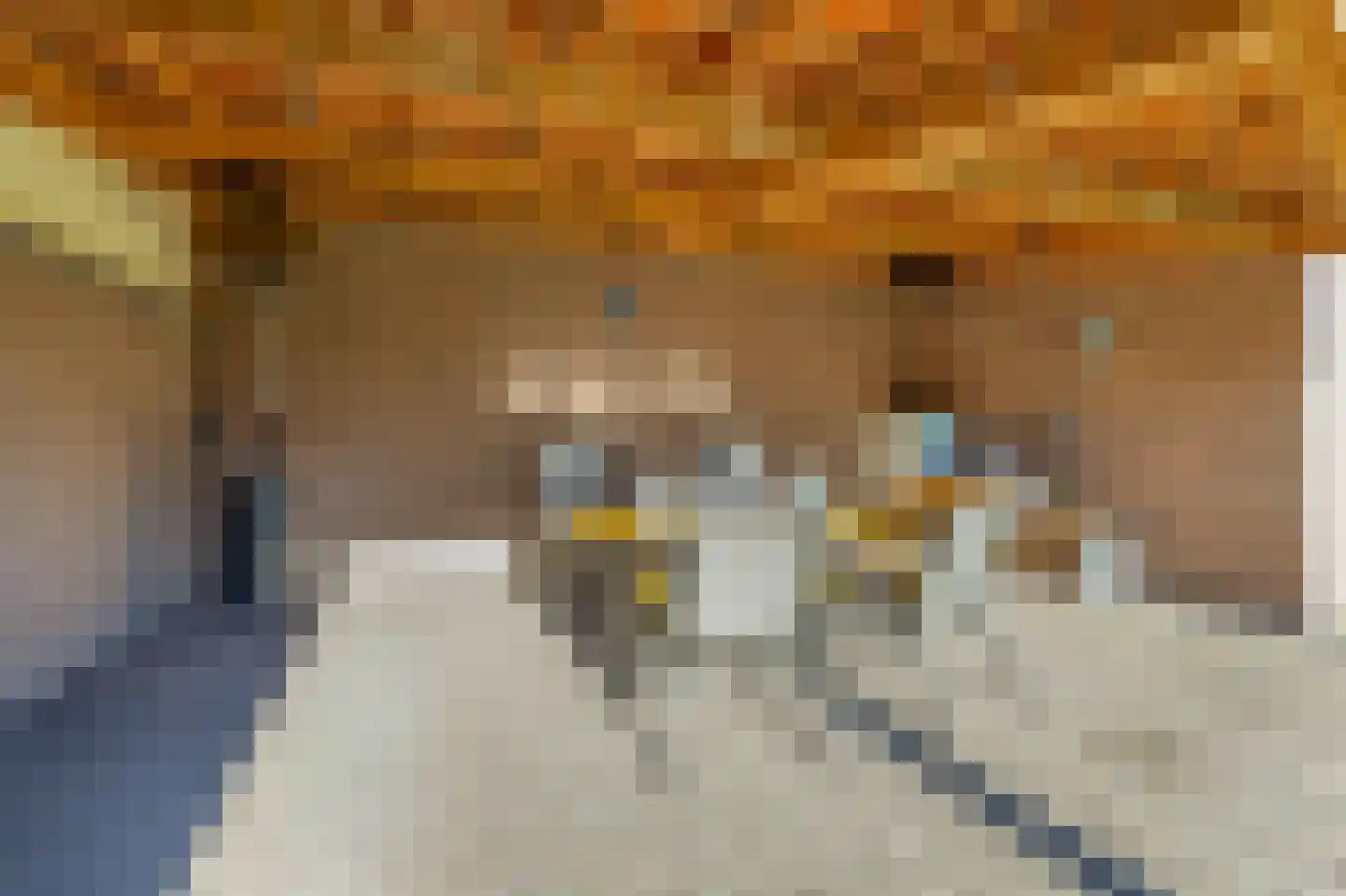 Leijsingweg 13 Liessel thumbnail 55