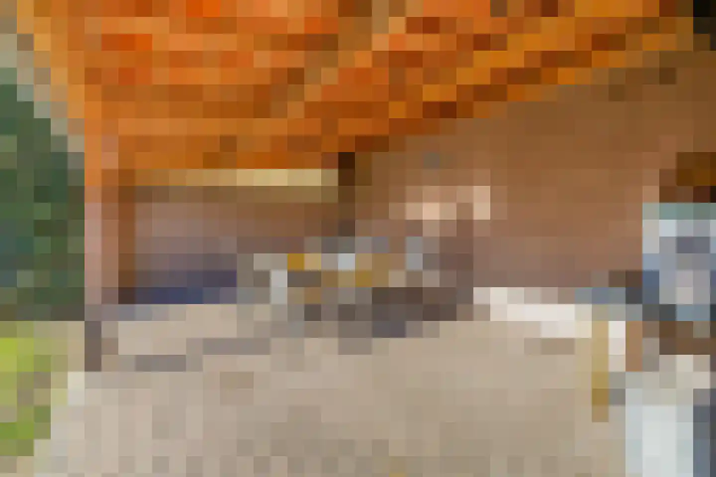 Leijsingweg 13 Liessel thumbnail 56