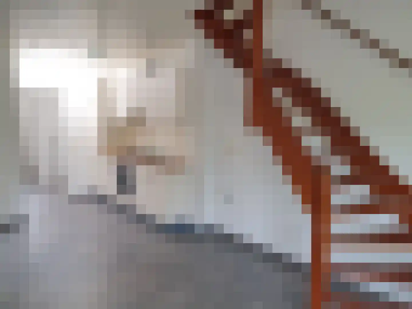 Leijstenstraat 22 Berg en Terblijt thumbnail 10