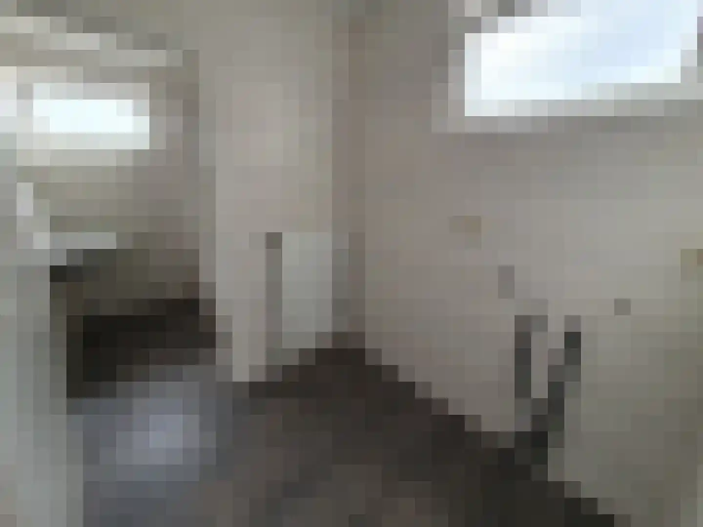 Leijstenstraat 22 Berg en Terblijt thumbnail 11