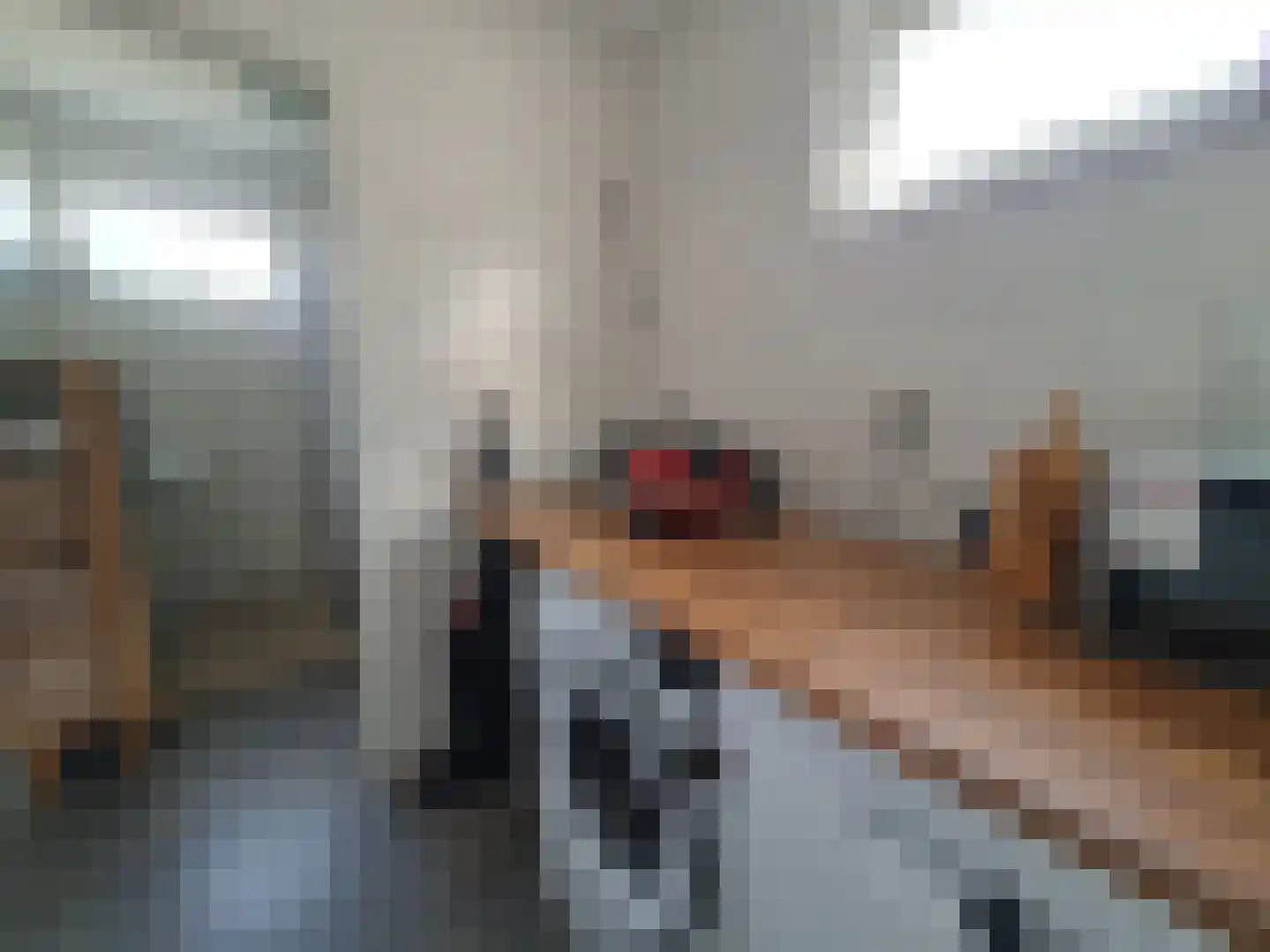 Leijstenstraat 22 Berg en Terblijt thumbnail 12