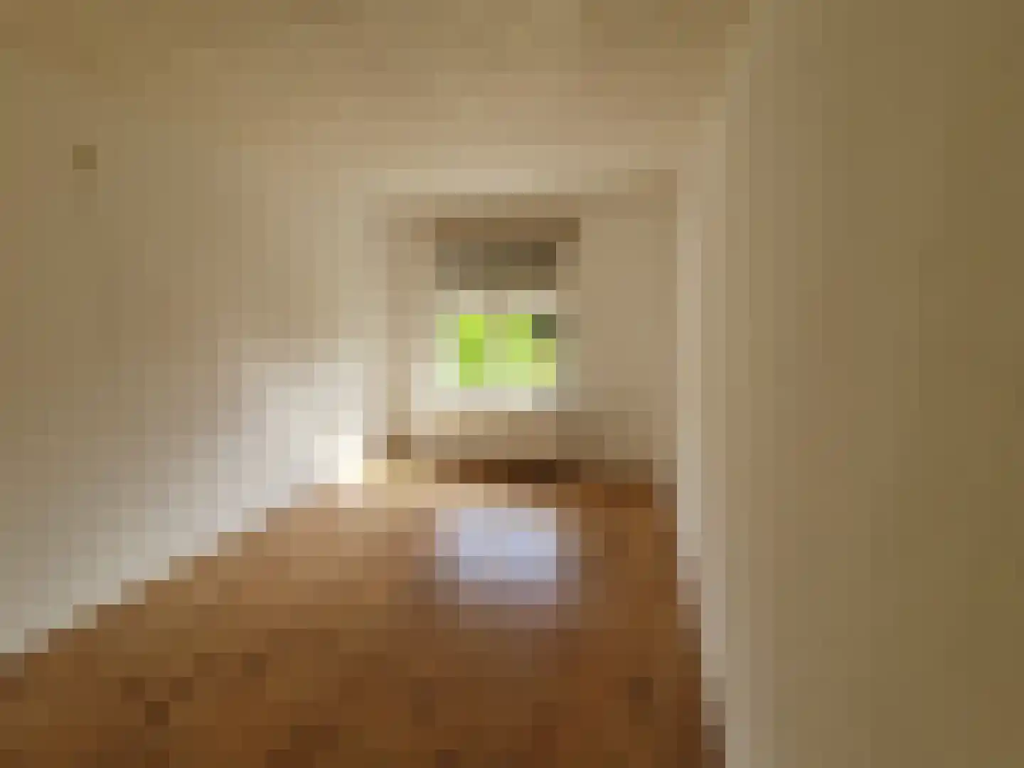 Leijstenstraat 22 Berg en Terblijt thumbnail 15