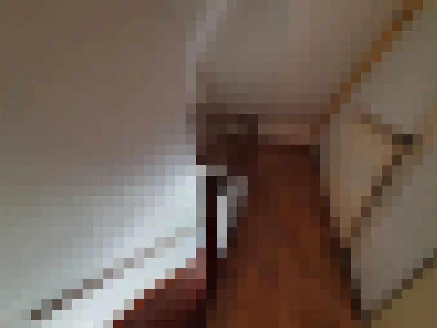 Leijstenstraat 22 Berg en Terblijt thumbnail 16