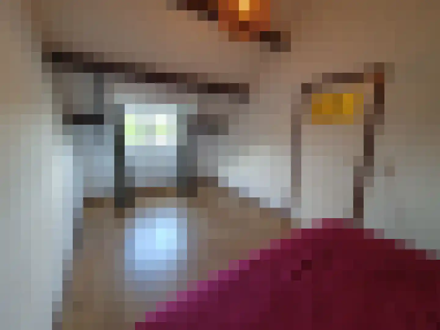 Leijstenstraat 22 Berg en Terblijt thumbnail 18