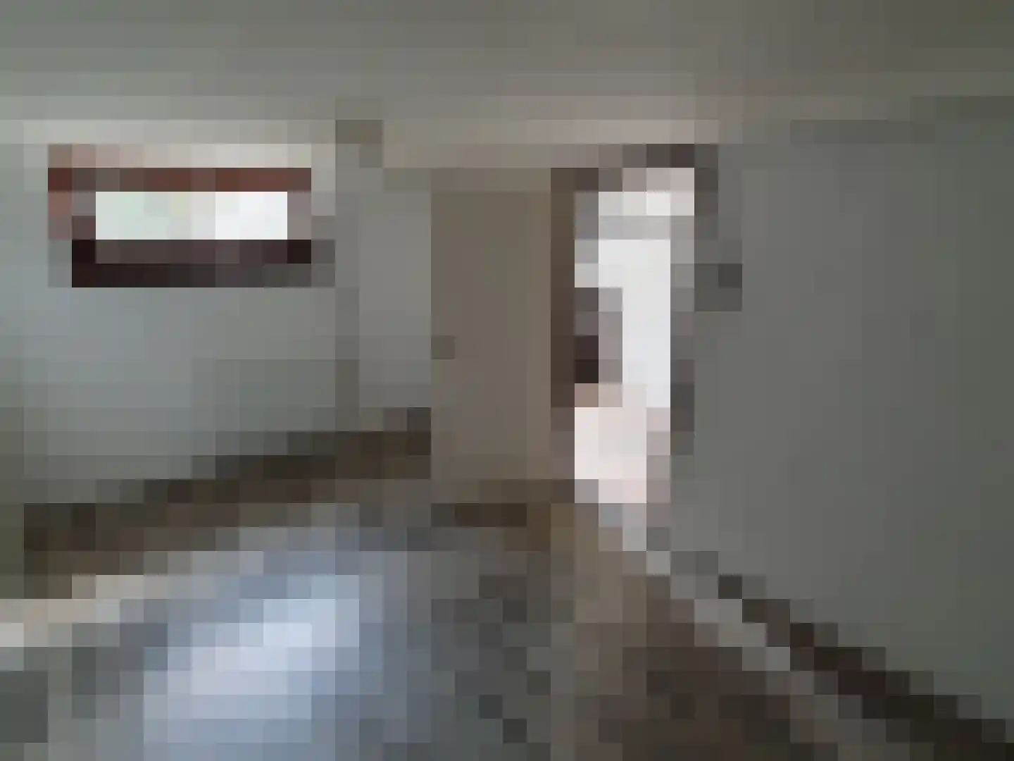 Leijstenstraat 22 Berg en Terblijt thumbnail 19