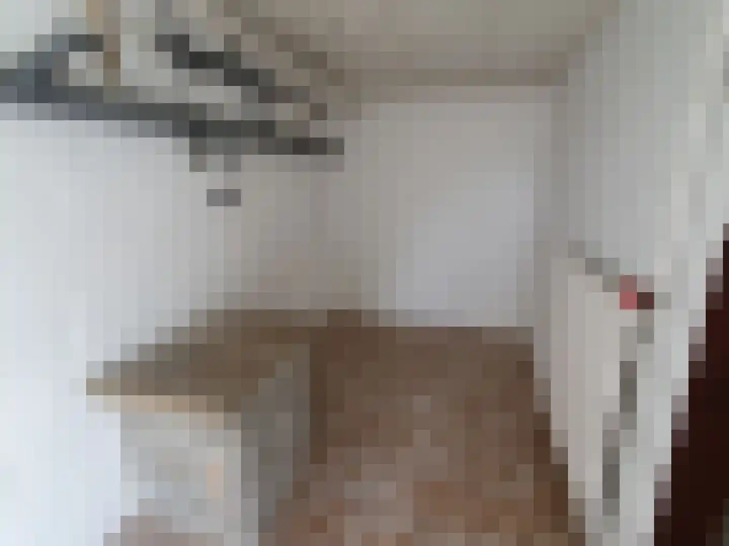 Leijstenstraat 22 Berg en Terblijt thumbnail 20
