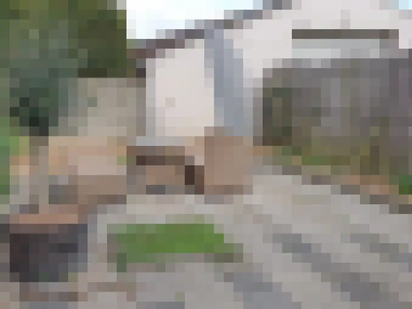 Leijstenstraat 22 Berg en Terblijt thumbnail 21