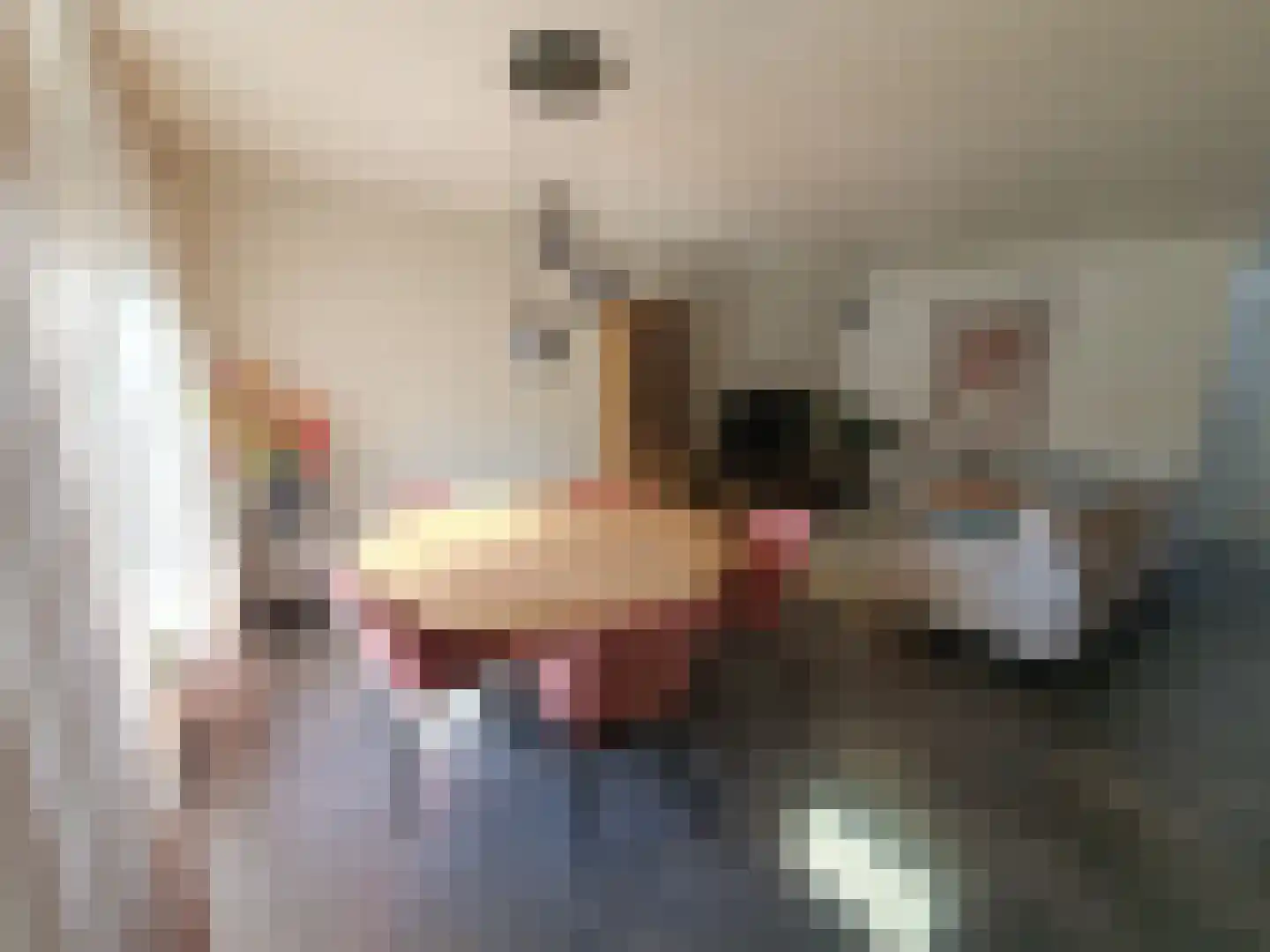 Leijstenstraat 22 Berg en Terblijt thumbnail 4