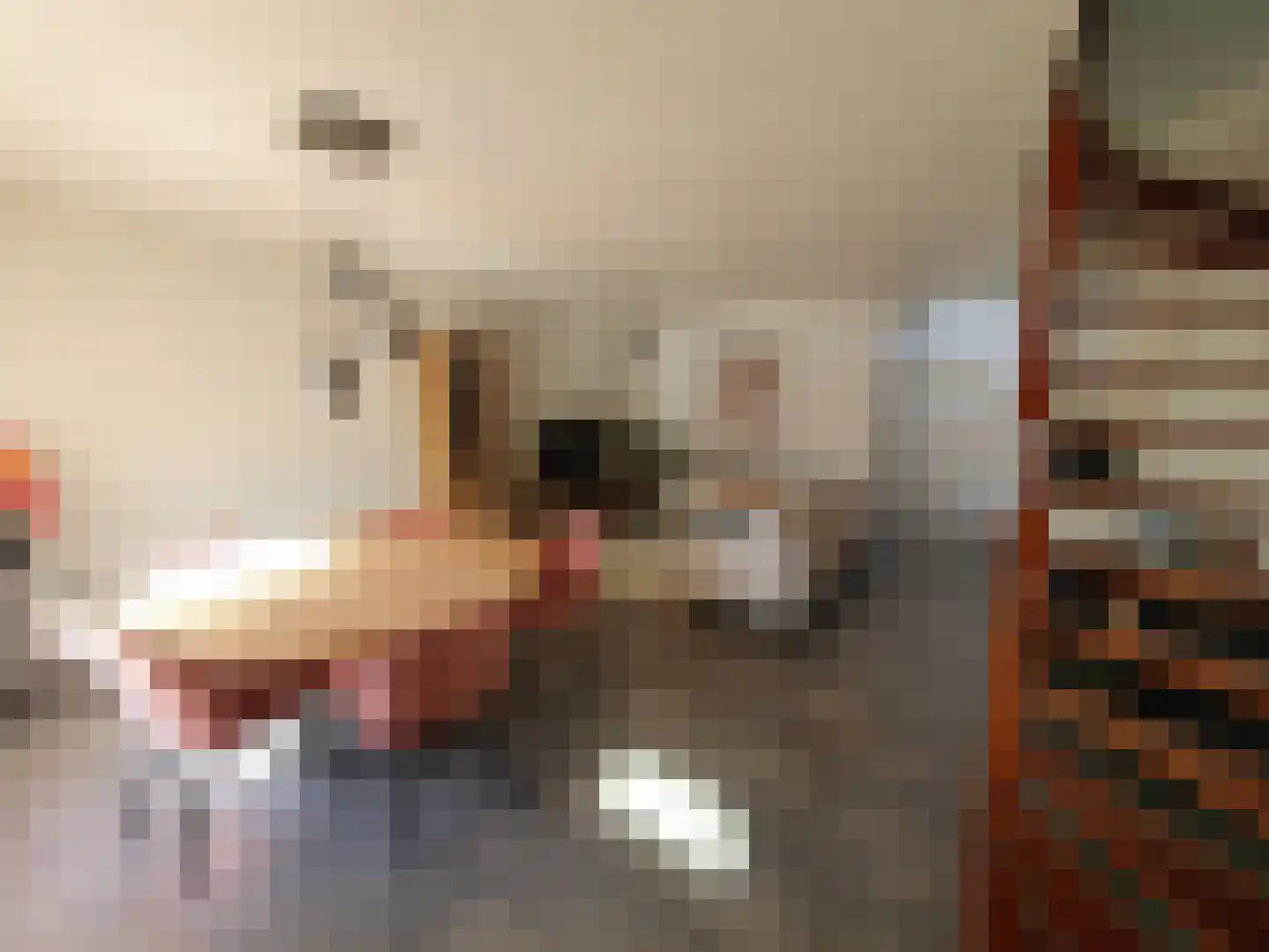 Leijstenstraat 22 Berg en Terblijt thumbnail 5