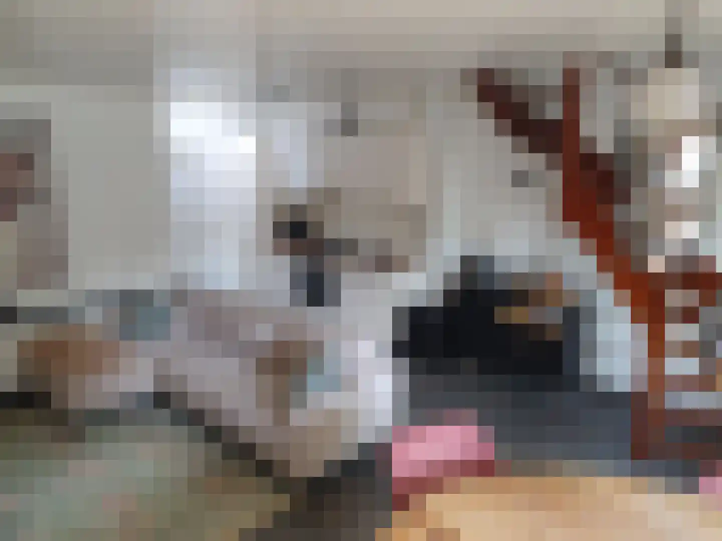 Leijstenstraat 22 Berg en Terblijt thumbnail 7