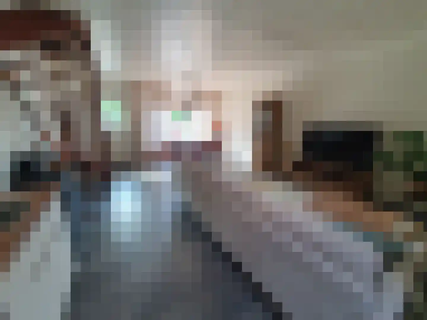 Leijstenstraat 22 Berg en Terblijt thumbnail 9