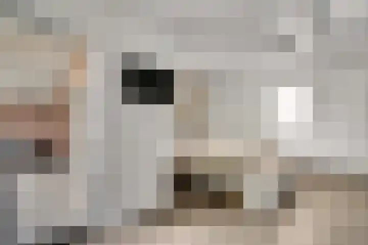 Leijstenstraat 6 Berg en Terblijt thumbnail 11